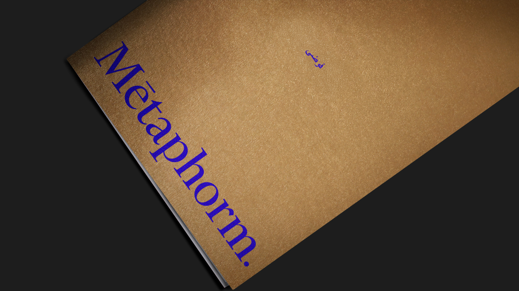  10-metaphorm-9
