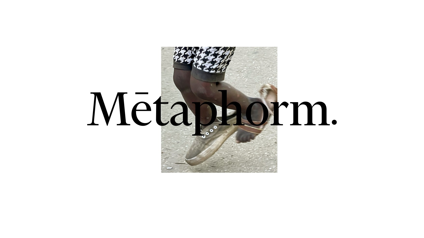  metaphorm-16