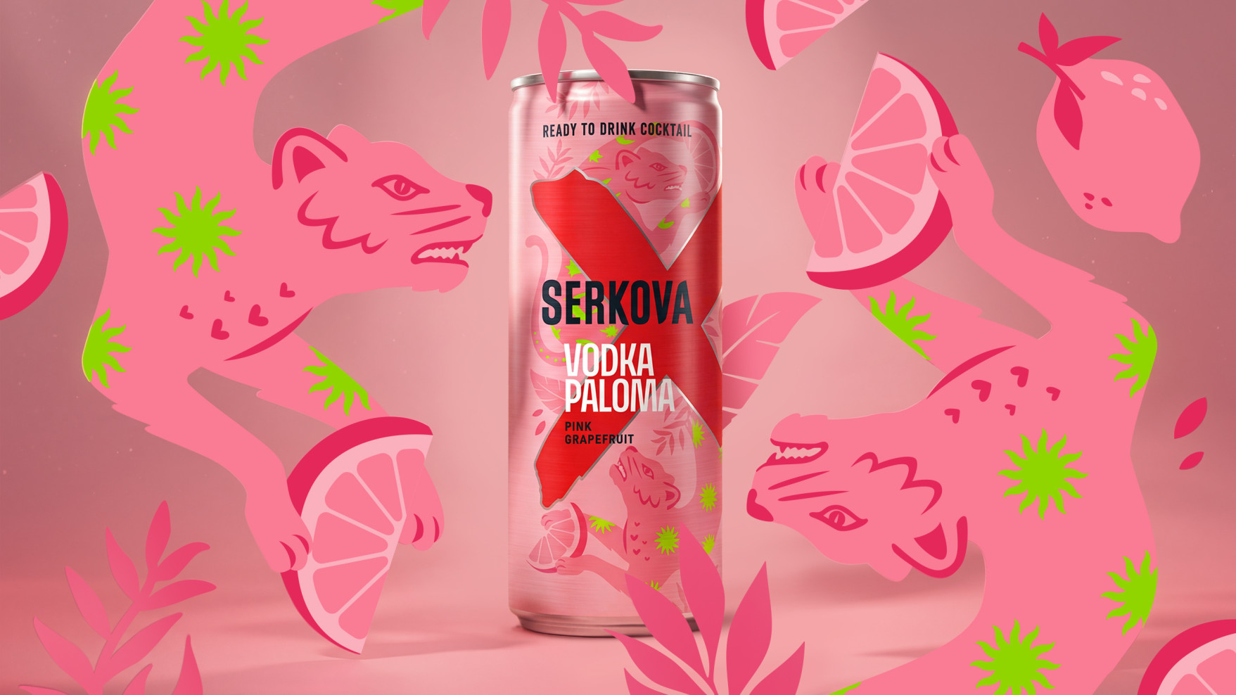  paloma-illustrations